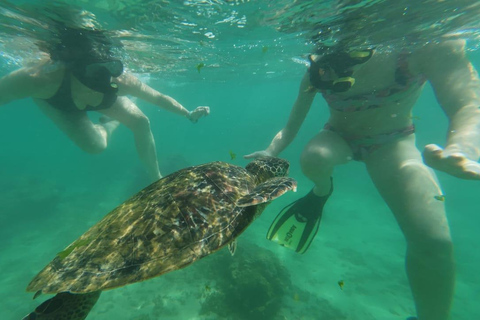 Mirissa Snorkeling Trip with Sea Turtles & Coral Reef