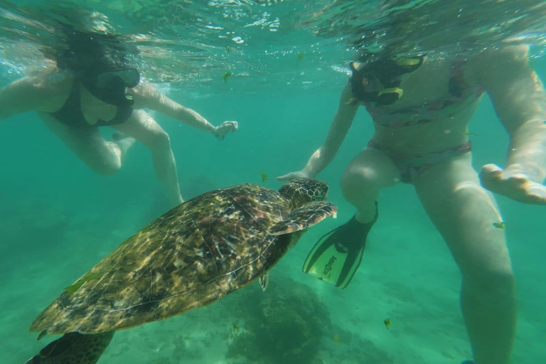 Mirissa Snorkeling Trip with Sea Turtles & Coral Reef