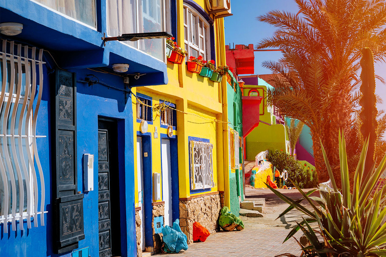 阿加迪尔：塔加祖特和阿格鲁德彩色房屋半日游