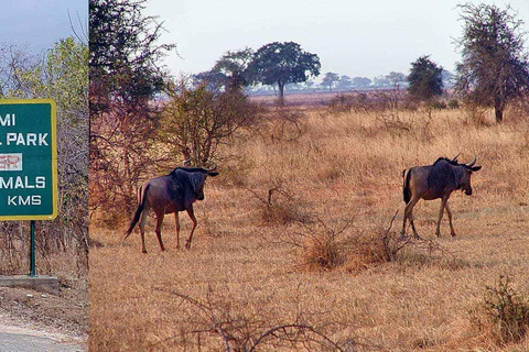 Dar es Salaam: 3-Day Mikumi National Park Safari with Meals