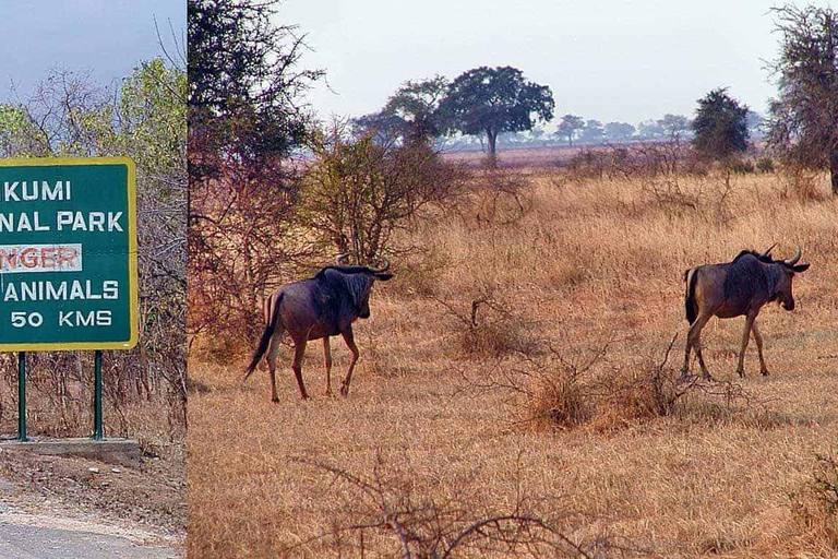Dar es Salaam: 3-Day Mikumi National Park Safari with Meals