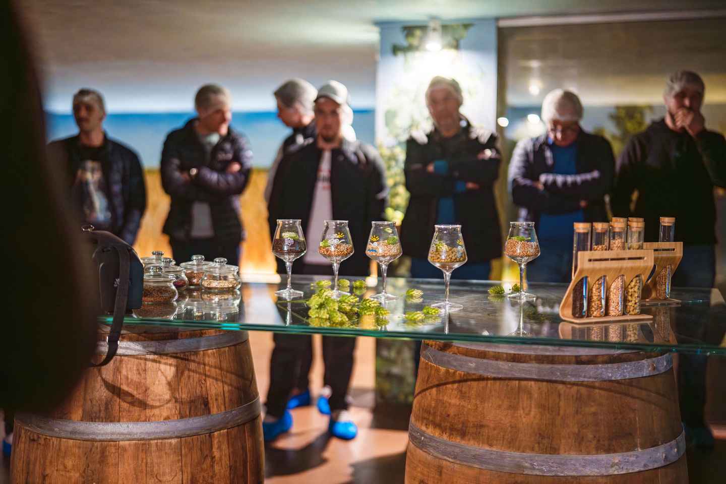 Leverano: tour del birrificio Birra Salento e degustazione con abbinamenti