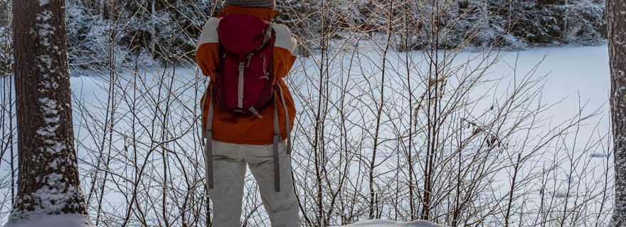 Oulu : excursion hivernale guidée à la réserve naturelle de Sanginjoki