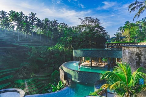 Ubud: Best Cretya Day Club In Ubud & Waterfalls Private Tour