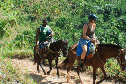 Punta Cana: Tour Samana All Included Cascada Limon whales