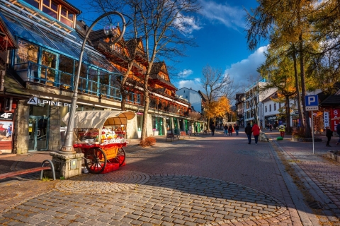 Krakau: Zakopane Private Tour mit Thermalbädern