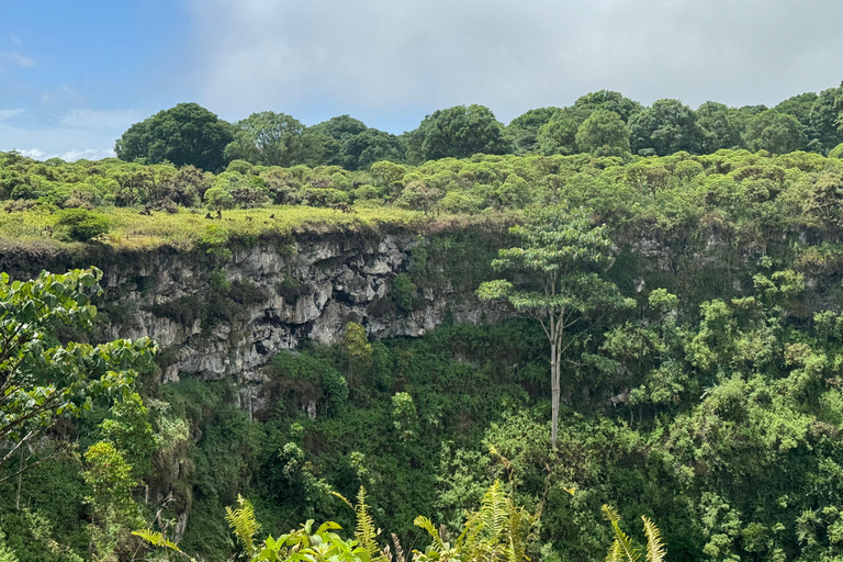 Galapagos Getaway Transfers & Tours