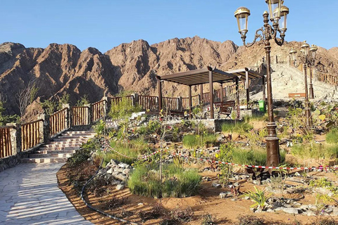 From Dubai: Sharjah Hidden Gems East Coast Full-Day Tour