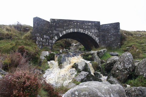 Dublin: Wild Wicklow Shore Tour- Glendalough & Guinness Lake