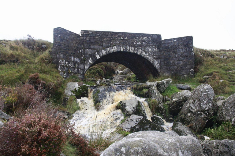 Dublin: Wild Wicklow Shore Tour- Glendalough & Guinness Lake