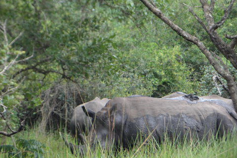 Uganda: 17-Day Honeymoon Safari with Gorilla Trekking