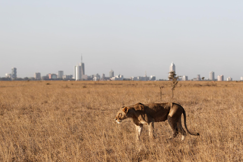Nairobi: National Park Private Tour with Lunch at Carnivore Nairobi: National Park Private Tour without Lunch