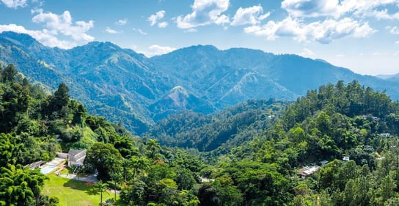 Shared/Private Full Day Blue Mountains Tour -Top Attractions
