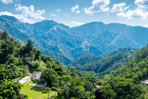 Visite d'une jounée des Montagnes Bleues (partagée/privée) - Principales attractionsJournée complète partagée entre Kingston et les Blue Mountains