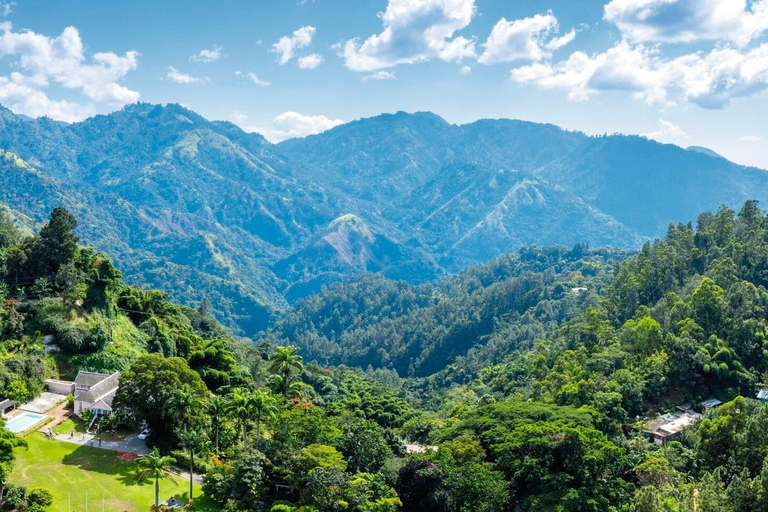 Visite d'une jounée des Montagnes Bleues (partagée/privée) - Principales attractionsJournée complète partagée entre Kingston et les Blue Mountains