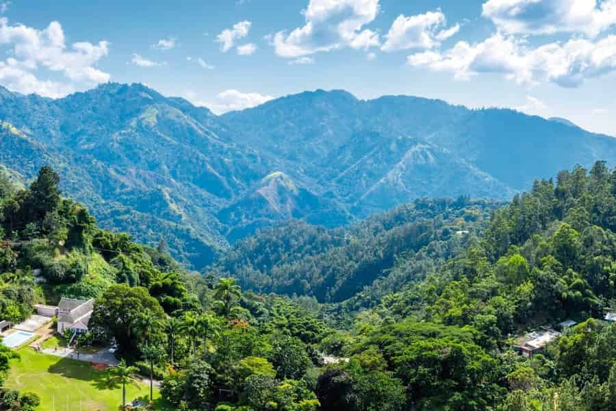 Geteilte/private Ganztagestour durch die Blue Mountains - Top-Attraktionen. Foto: GetYourGuide Geteilte/private Ganztagestour durch die Blue Mountains - Top-Attraktionen. Foto: GetYourGuide