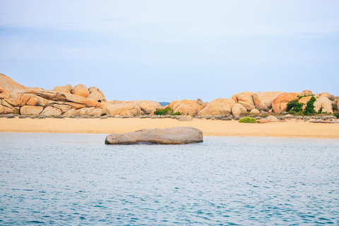 Santa Teresa: Speedboottocht rond Lavezzi en Piana-eiland