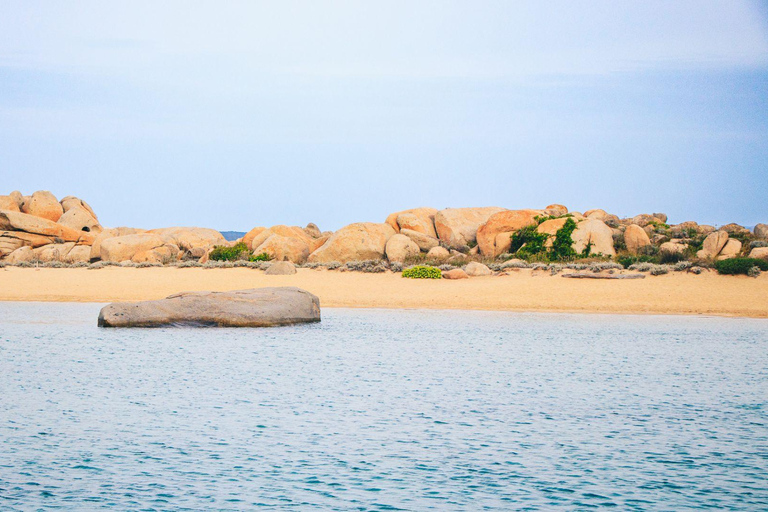 Santa Teresa: Speedboottocht rond Lavezzi en Piana-eiland