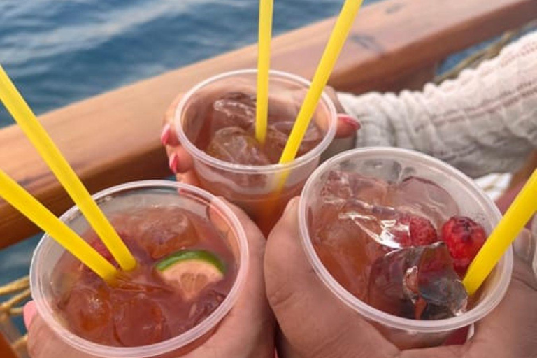 Side Dolphin Island Boat Tour with Lunch & Swim