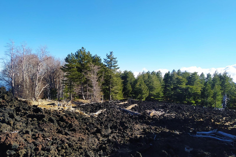 Au départ de Taormina, visite guidée privée de l'Etna avec dégustation de vinsDe Taormina au Mt Etna Visite guidée privée avec dégustation de vins