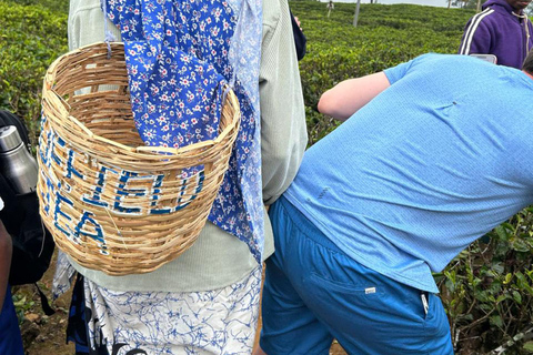 From Kandy to Nuwara Eliya & Moon Plains – Tuk‑Tuk Day Tour From Kandy: Moon Plains Highlands Viewpoint Experience