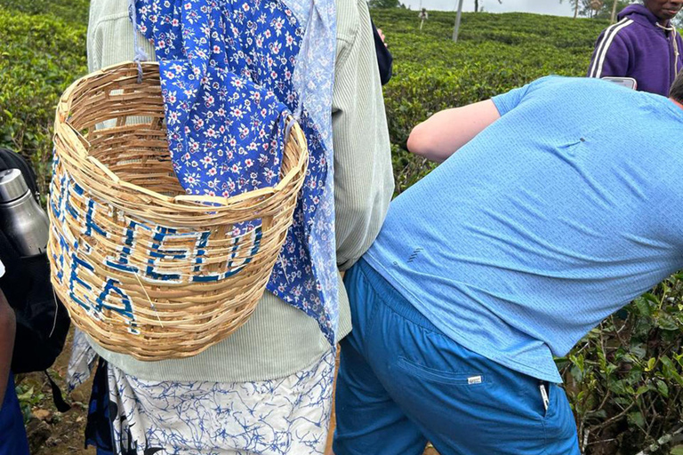 From Kandy to Nuwara Eliya & Moon Plains – Tuk‑Tuk Day Tour From Kandy: Moon Plains Highlands Viewpoint Experience