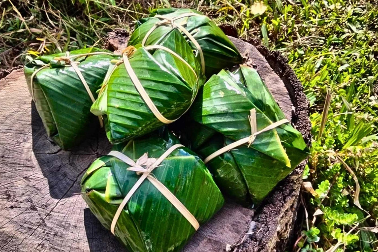 Chiang Mai: Jungle Trek, Elephants care & Bamboo Rafting