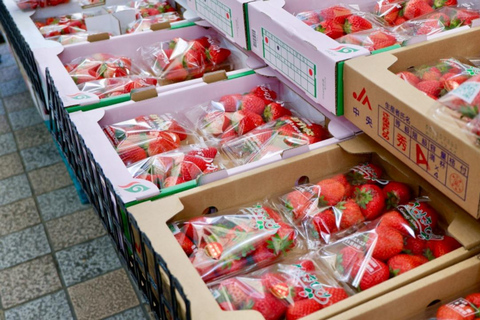 Osaka: Daytime Hanami (Cherry Blossom) and Food Tour