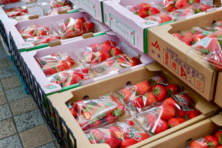 Osaka: Daytime Hanami (Cherry Blossom) and Food Tour