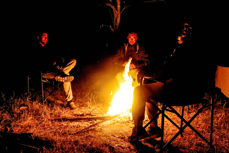 Chobe - Savuti Trail: Elephant & Big Cats (4 days 3 Nights)