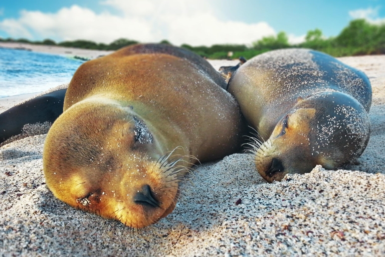 Galapagos : Une aventure naturelle Santa Cruz & San Cristobal