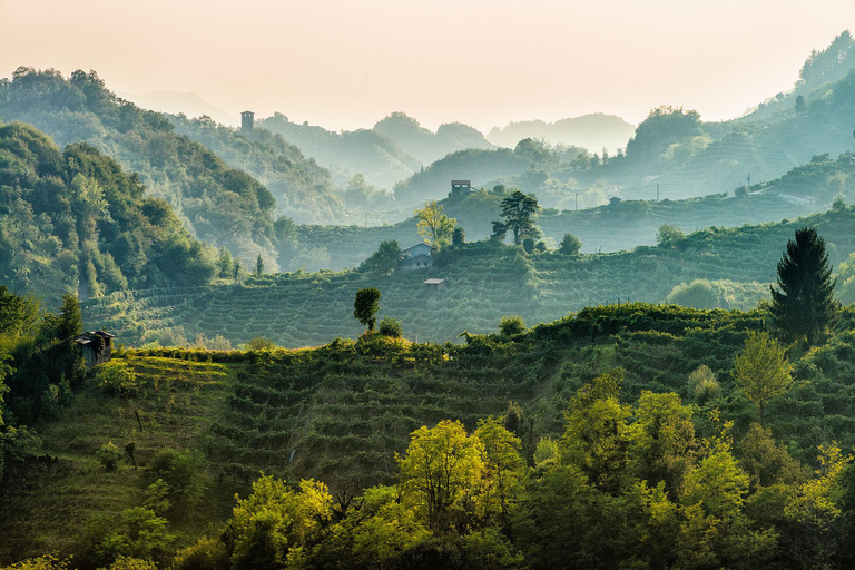 From Venice: Wine and Food tour in the Prosecco Hills