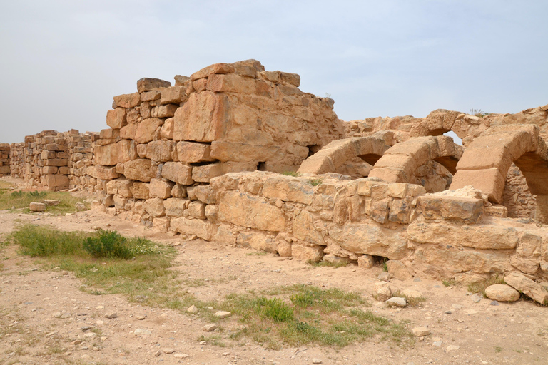 From Amman: Umm al-Rasas, Madaba, and Mount Nebo Day Trip