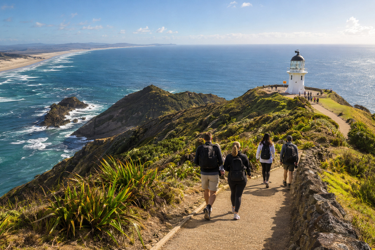 Bay of Islands: Private Wheelchair-Accessible Custom Tour