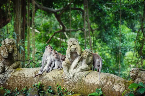 Bali: Private Sangeh Monkey Forest, Temple & Waterfall Tour Without entry tickets