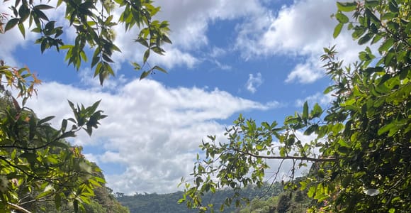 Mauritius:Tamarind Falls/7 waterfalls Guided Hike &swimming