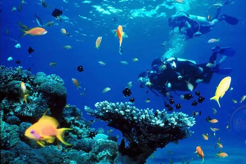 Från Sharm: Ras Muhammed & White Island med båt och introdyk