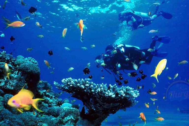 Sharm El Sheikh: Diving Day Trip by Boat at Ras Mohamed