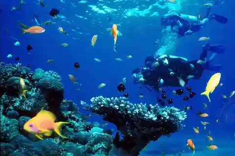 From Sharm: Ras Muhammed & White Island By Boat & intro Dive