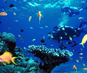 From Sharm: Ras Muhammed & White Island By Boat & intro Dive
