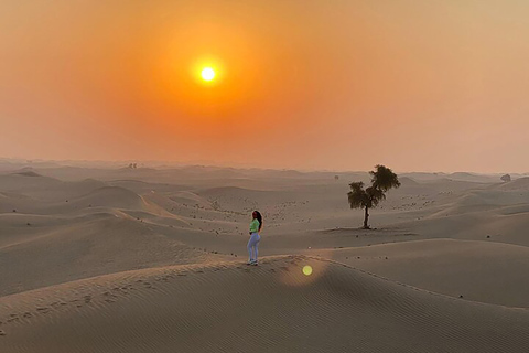 Safári no deserto ao nascer do sol - Abu Dhabi