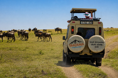 From Arusha: Tarangire National Park Private Day Trip