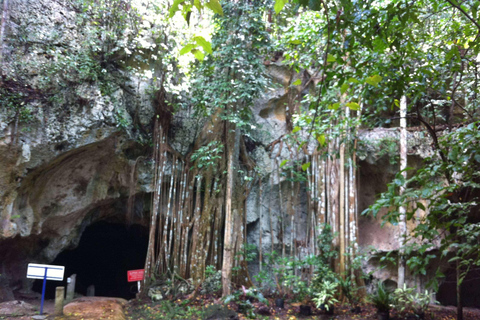 Da Montego Bay: Grotta della Grotta Verde e Cascata del Buco Blu