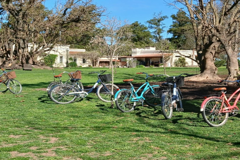 从布宜诺斯艾利斯出发：埃尔翁布德阿雷科（含接送服务）从布宜诺斯艾利斯出发：阿雷科的奥姆布树，含接送服务