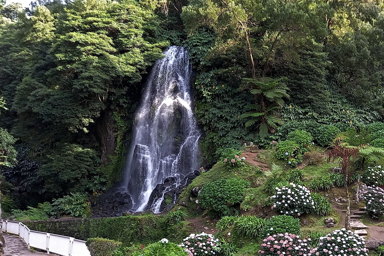 São Miguel: Excursão de 1 dia ao icônico Vulcão das Furnas e ao Nordeste