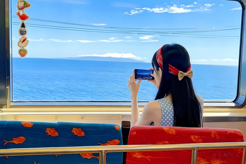 Small Group Day Tour:Omuro Mountain & the Izu Scenic Railway Hotel Transfer Option