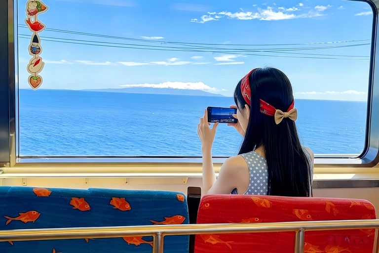 Small Group Day Tour:Omuro Mountain & the Izu Scenic Railway Hotel Transfer Option