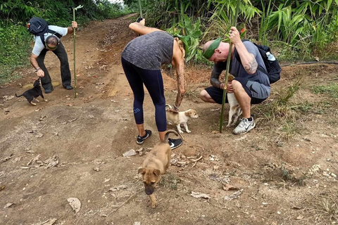Chiang Rai Trek: 4 Hilltribes Villages & Waterfall Only Walk