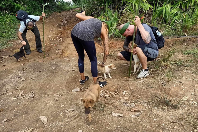 Chiang Rai Trek: 4 Hilltribes Villages & Waterfall Only Walk
