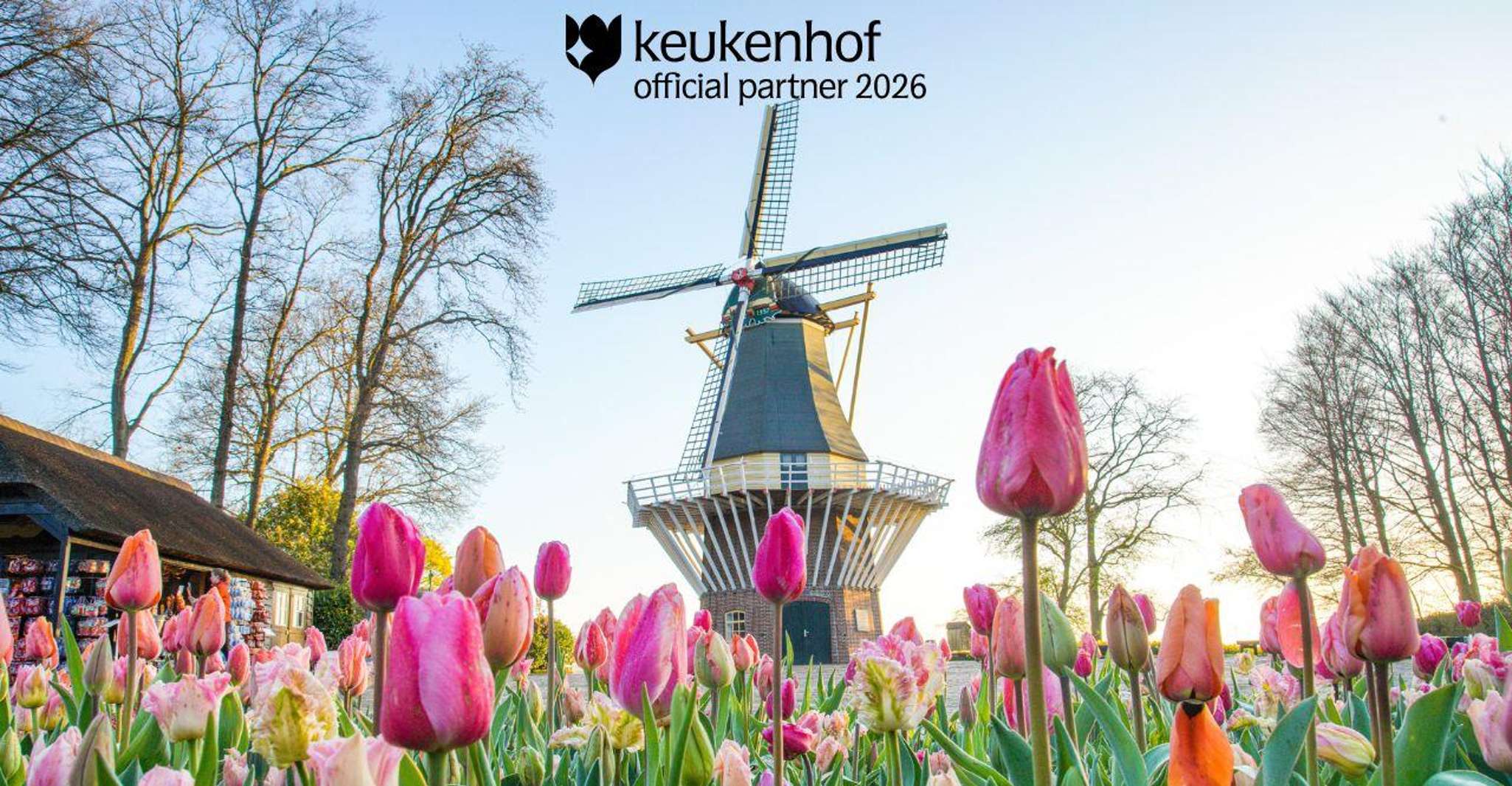 Amsterdam: Tour to Keukenhof Gardens with Windmill Cruise photo 9